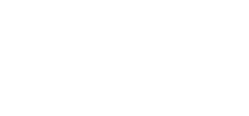 Arma Reforger