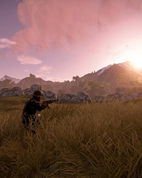 Rust Preview